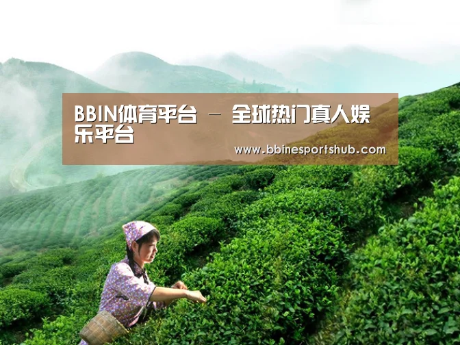 BBIN体育平台 - 全球热门真人娱乐平台